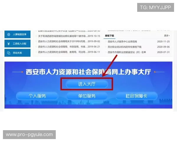 凯发真人版全站登录操作步骤详尽指导与注意事项