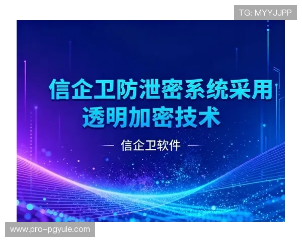 探索ag新网址登录线路的多重安全措施，有效防止账号被盗与数据泄露