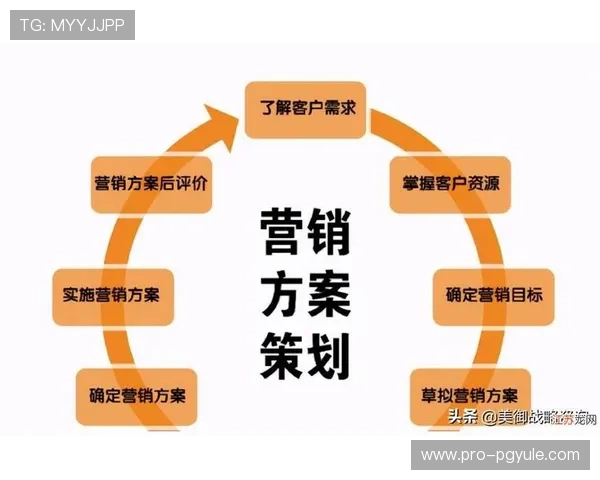 K8视讯直营平台的用户增长策略与市场扩展计划分析